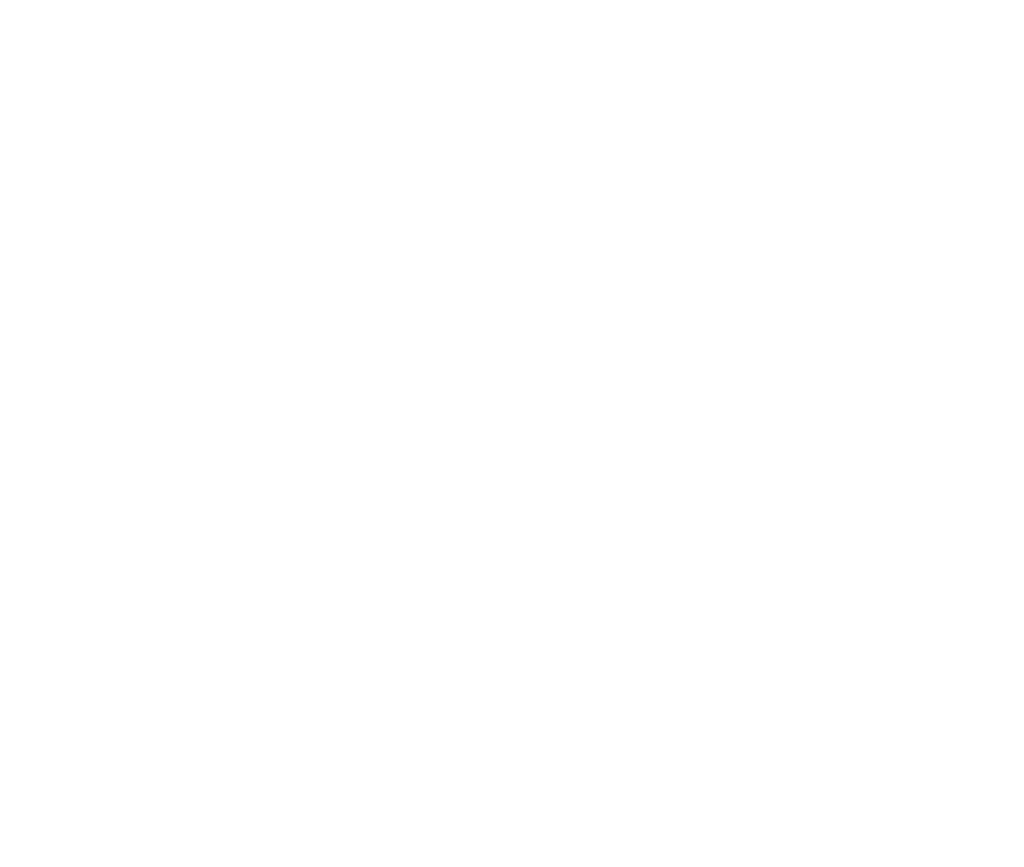 about-corporate-momo-entertainment